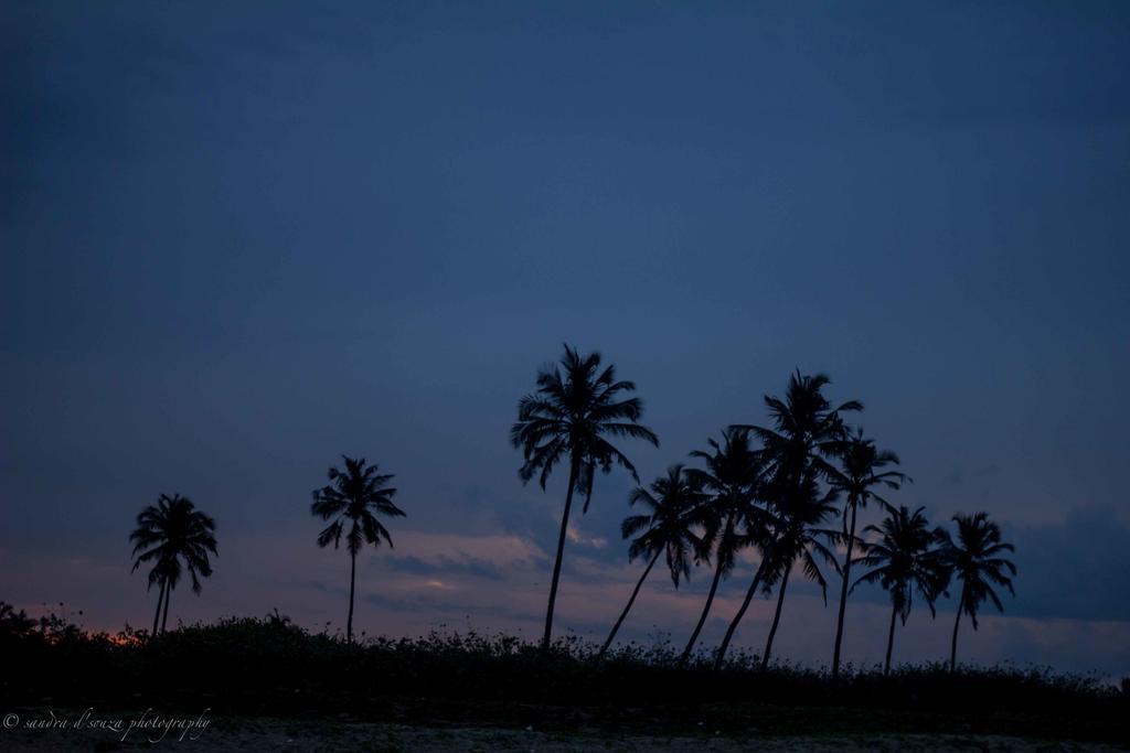 Pele'S Windsong Wood Cottage On The Beach Benaulim Exterior foto